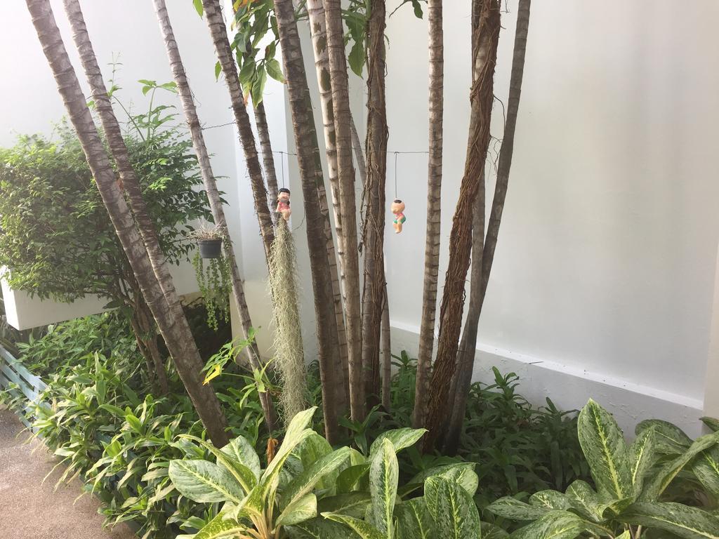 华欣斯里酒店 外观 照片